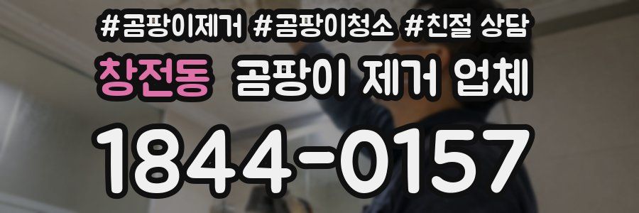 창전동 곰팡이 제거 업체