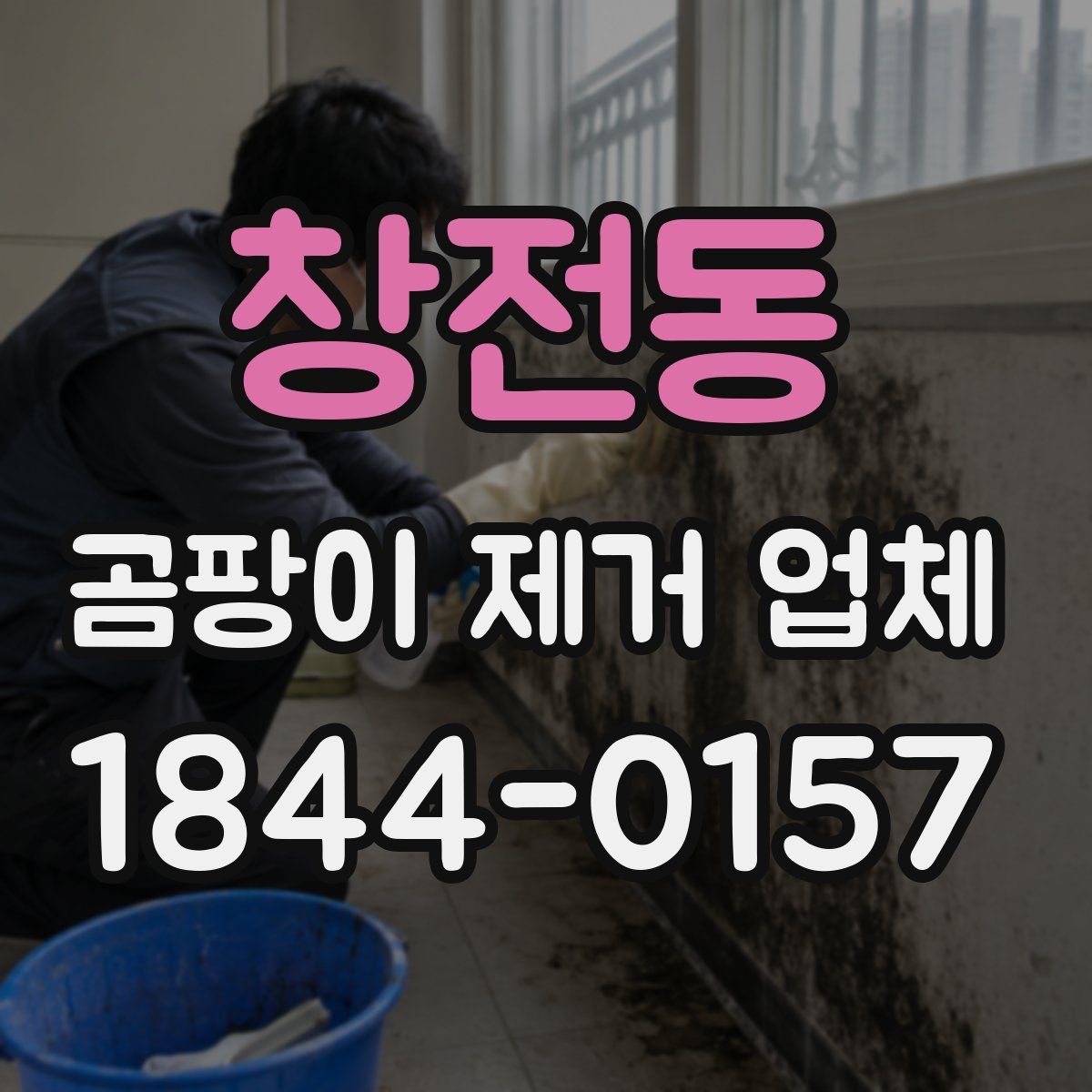 창전동 곰팡이 제거 업체