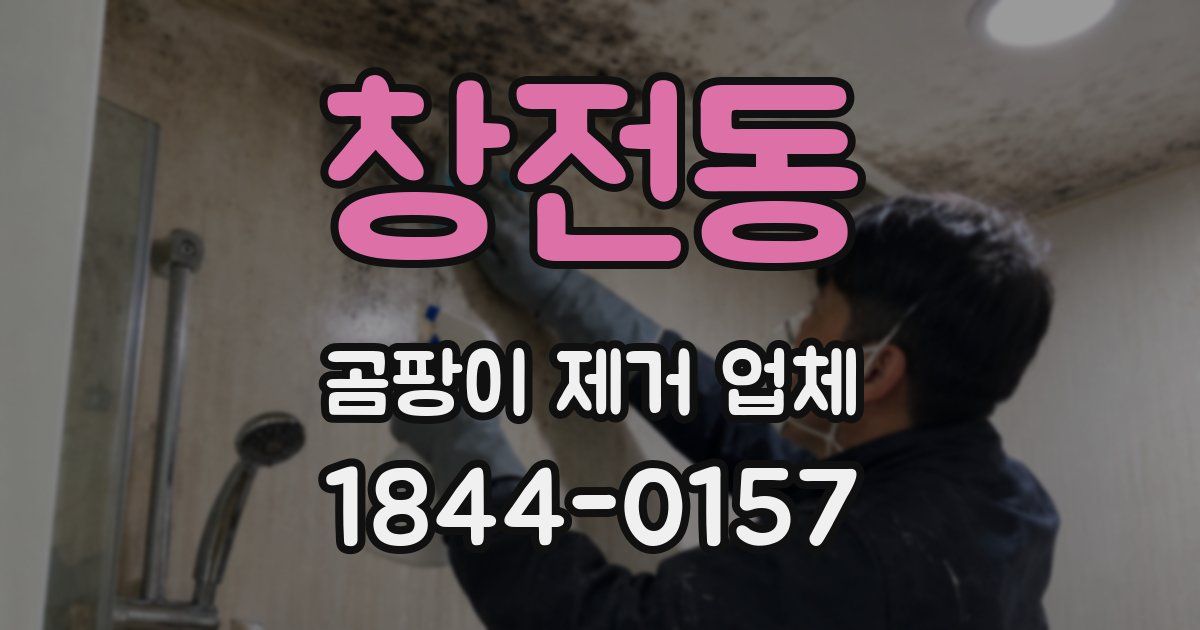 창전동 곰팡이 제거 업체