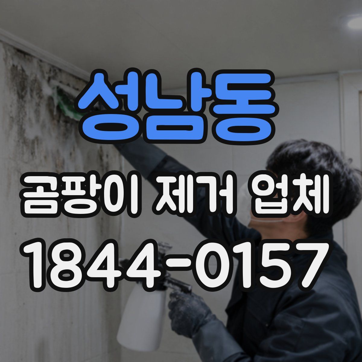 성남동 곰팡이 제거 업체