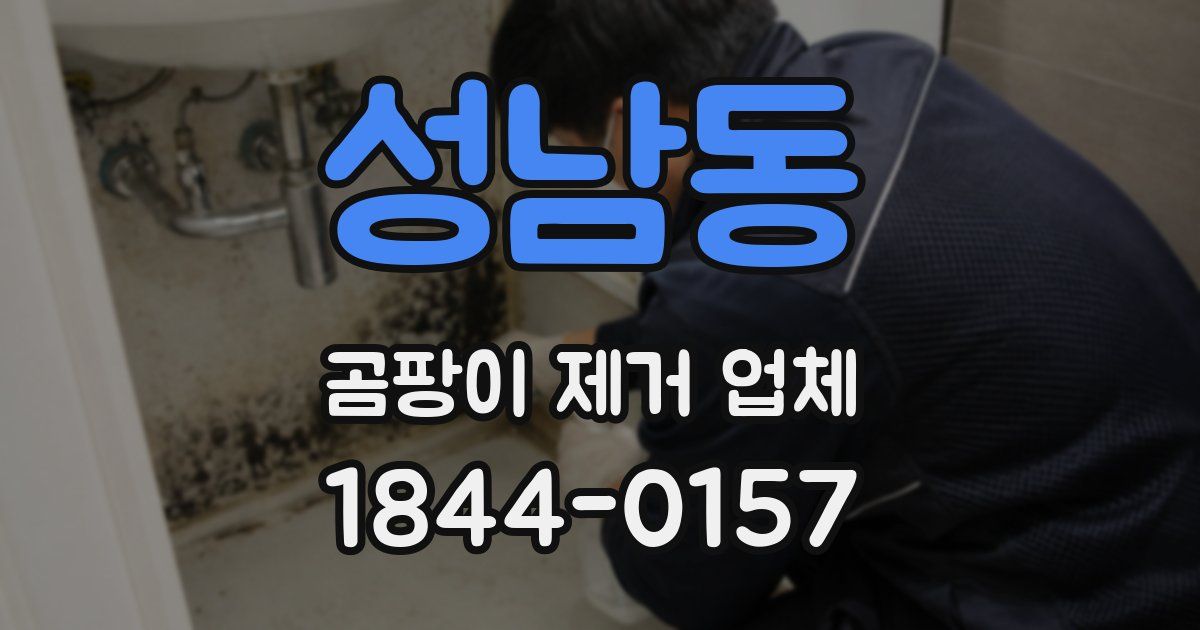 성남동 곰팡이 제거 업체