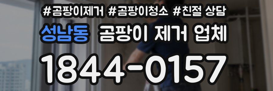 성남동 곰팡이 제거 업체
