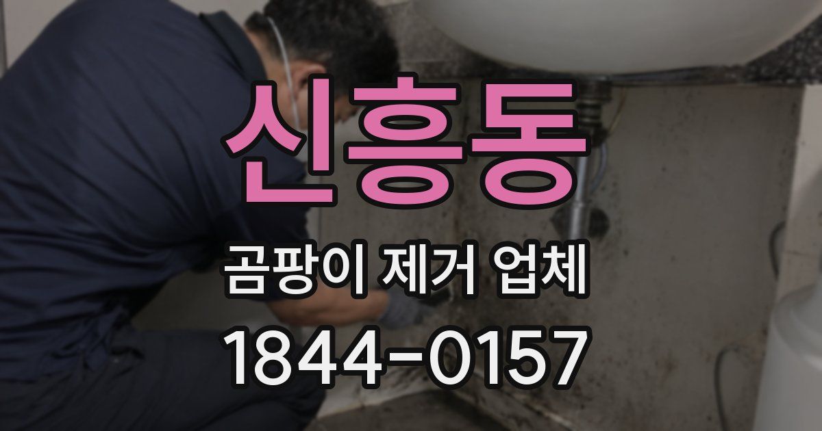 신흥동 곰팡이 제거 업체