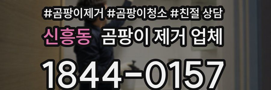 신흥동 곰팡이 제거 업체