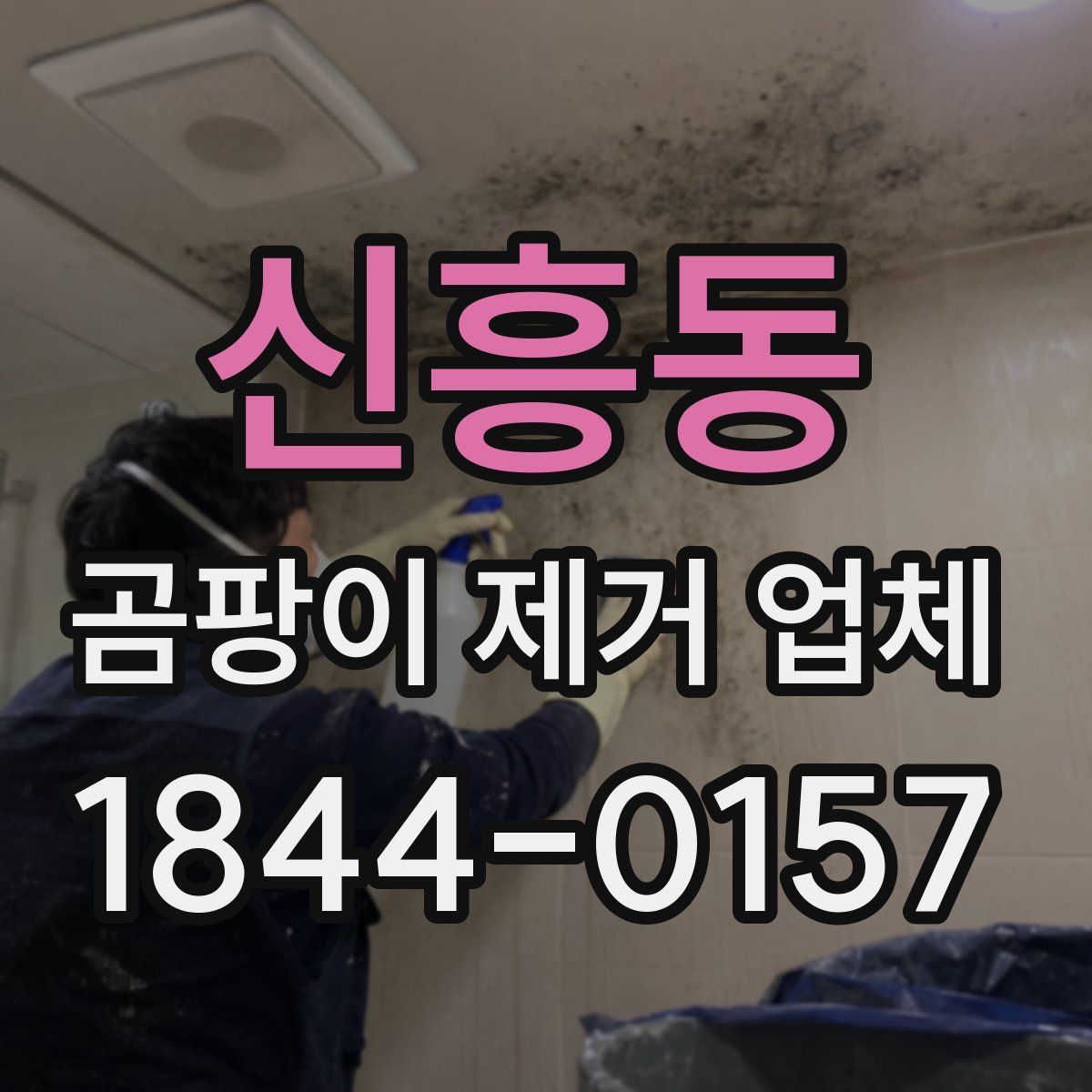 신흥동 곰팡이 제거 업체