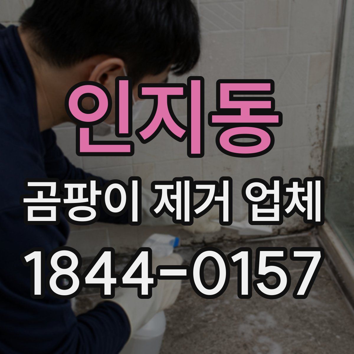 인지동 곰팡이 제거 업체