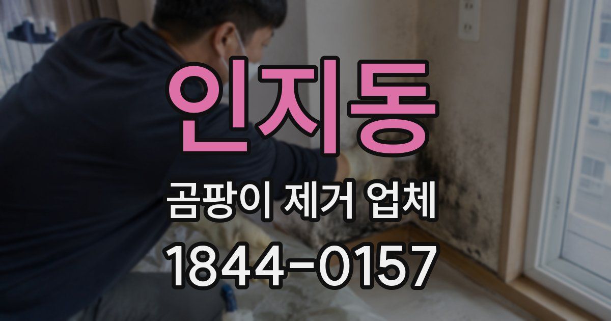 인지동 곰팡이 제거 업체