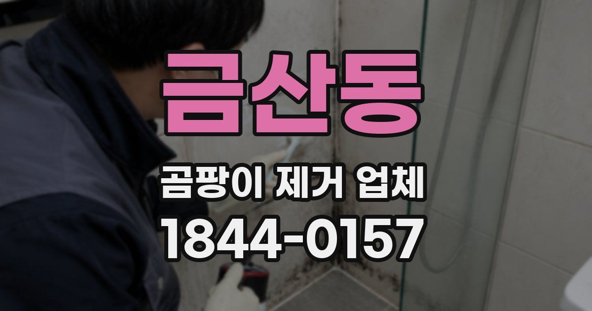 금산동 곰팡이 제거 업체