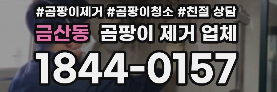 금산동 곰팡이 제거 업체