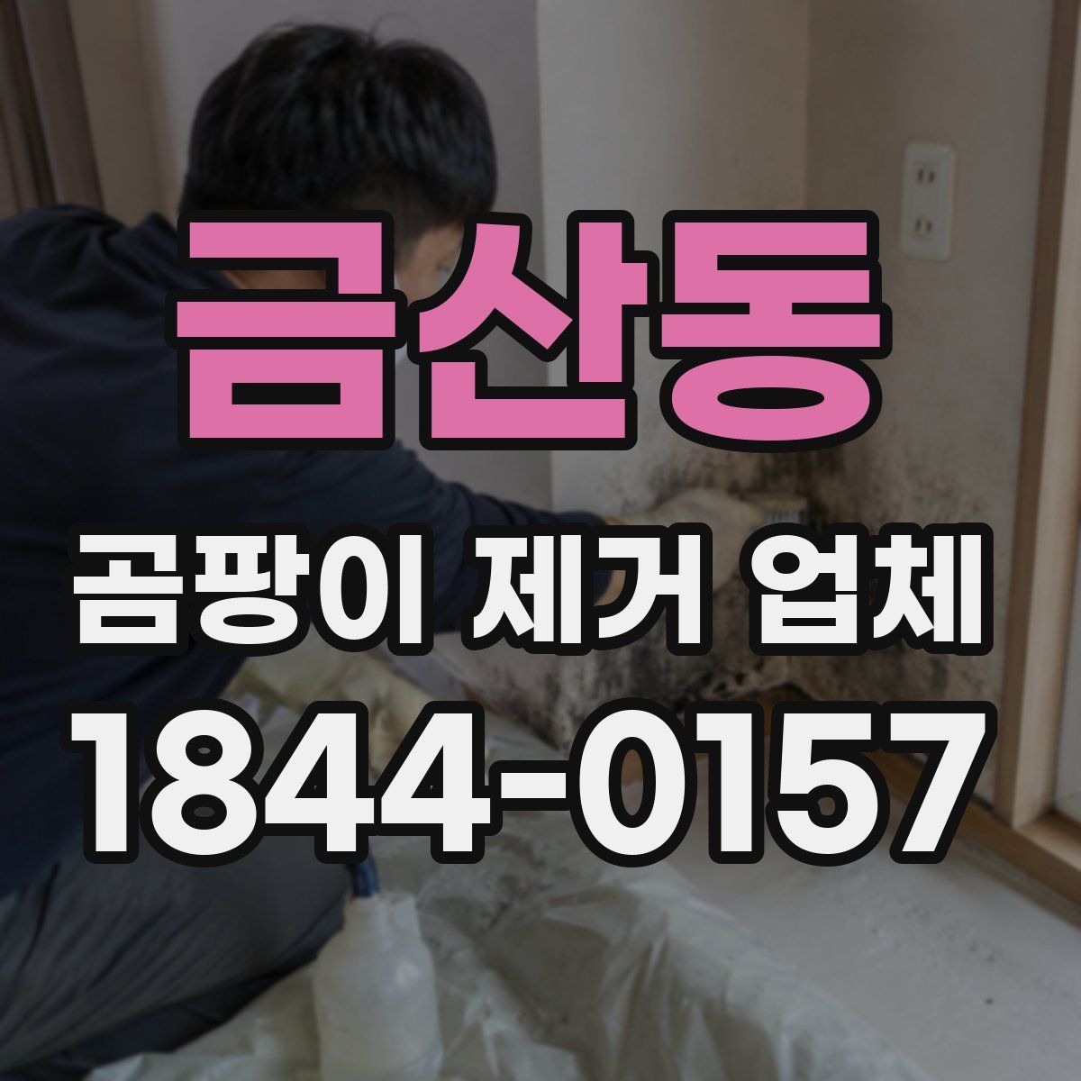 금산동 곰팡이 제거 업체