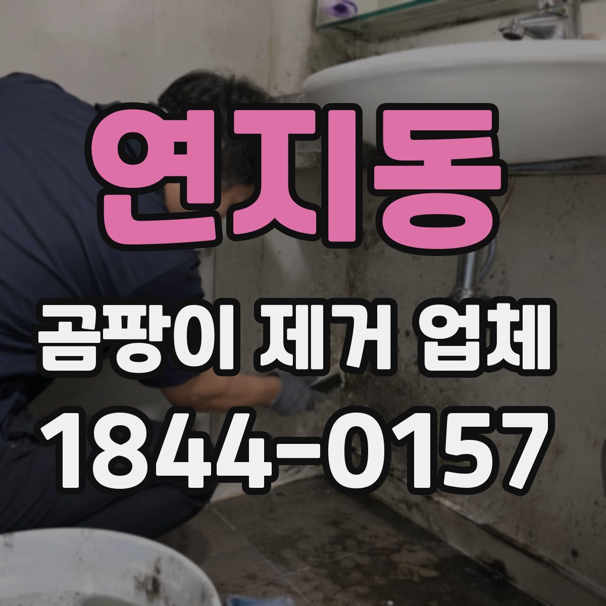 연지동 곰팡이 제거 업체