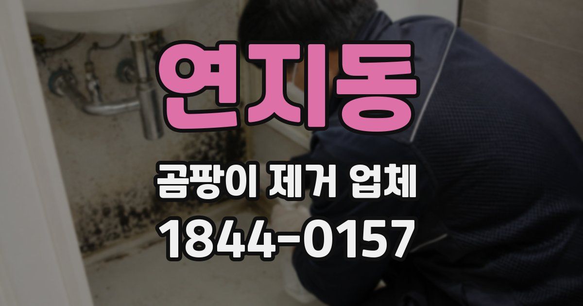 연지동 곰팡이 제거 업체