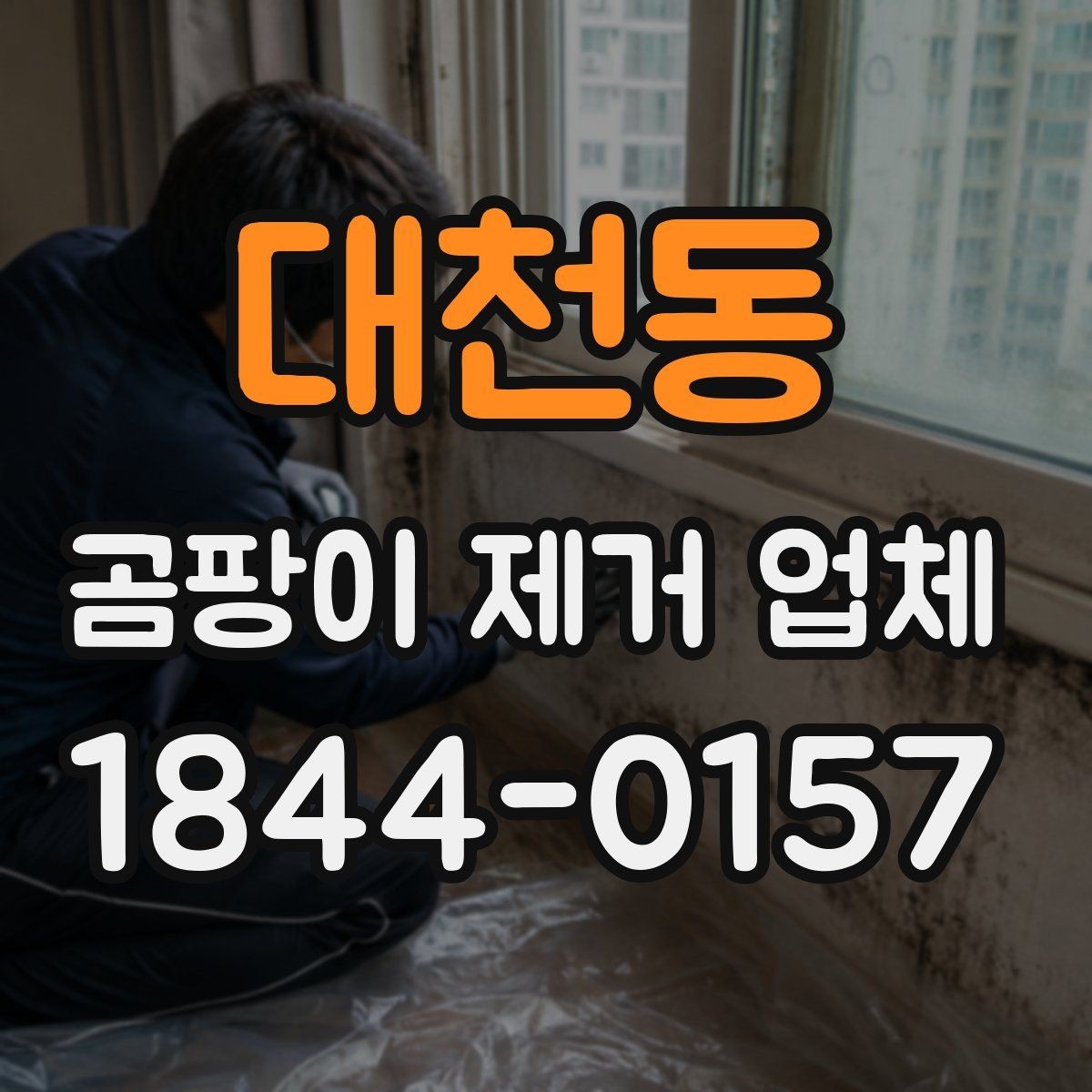 대천동 곰팡이 제거 업체 작업 전에 알아야 할 준비와 주의점