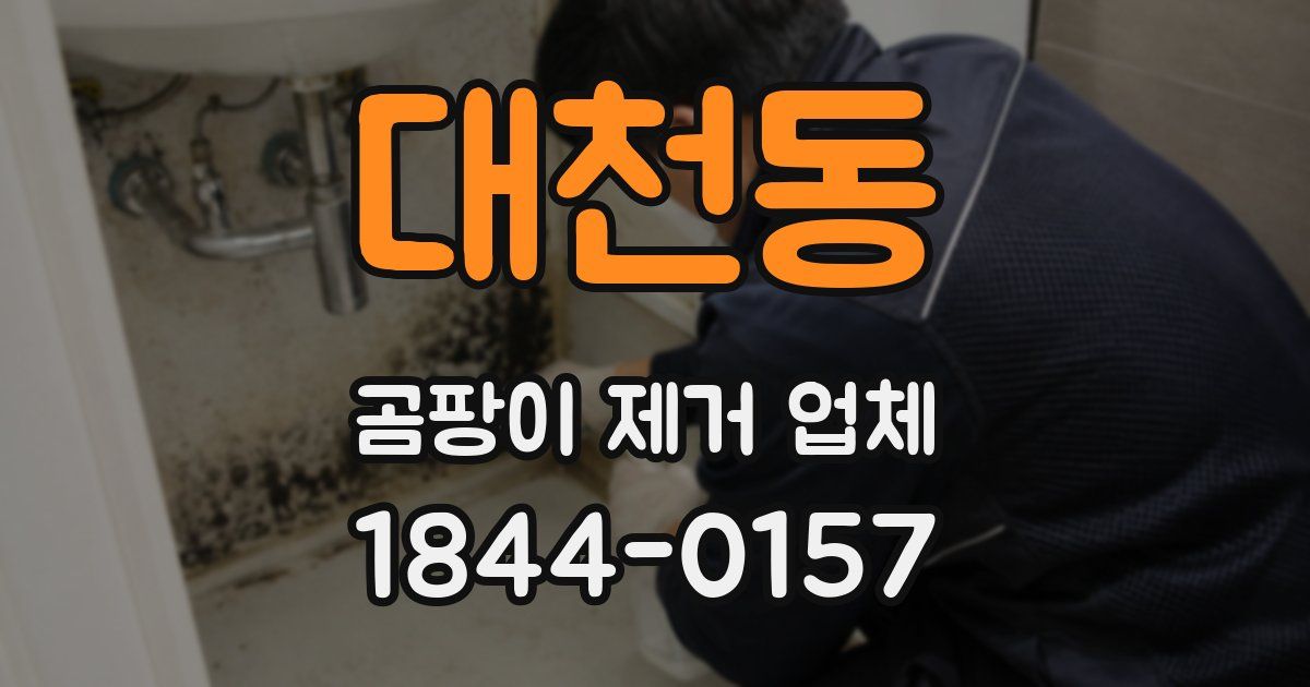 대천동 곰팡이 제거 업체