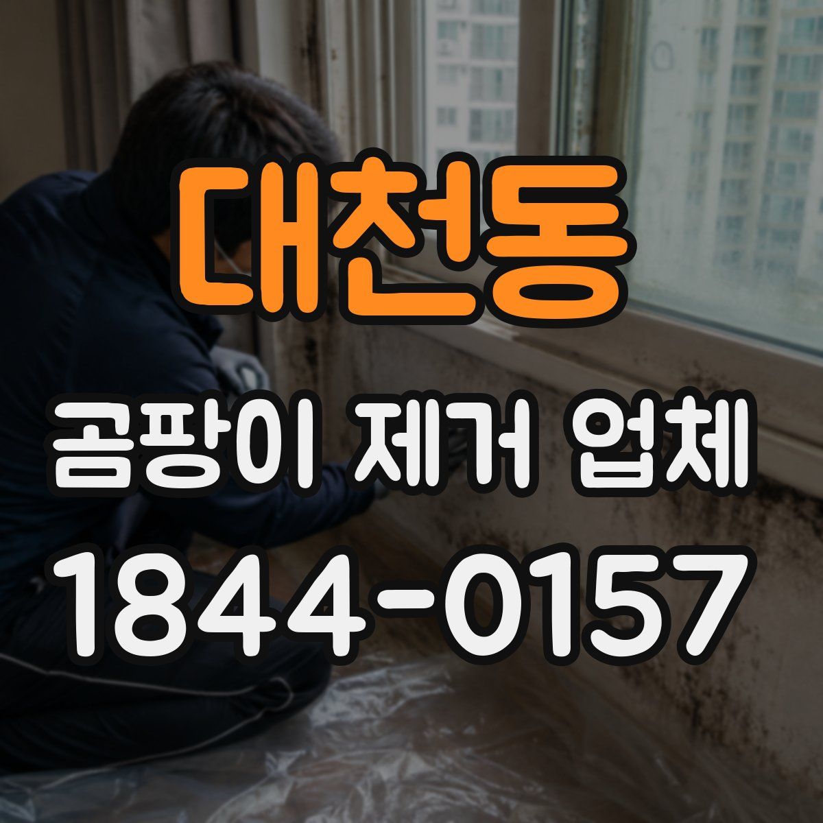 대천동 곰팡이 제거 업체