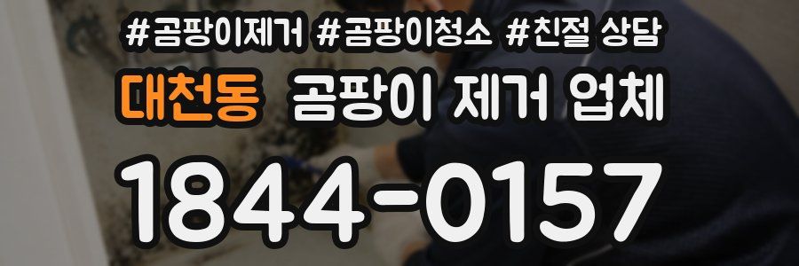 대천동 곰팡이 제거 업체