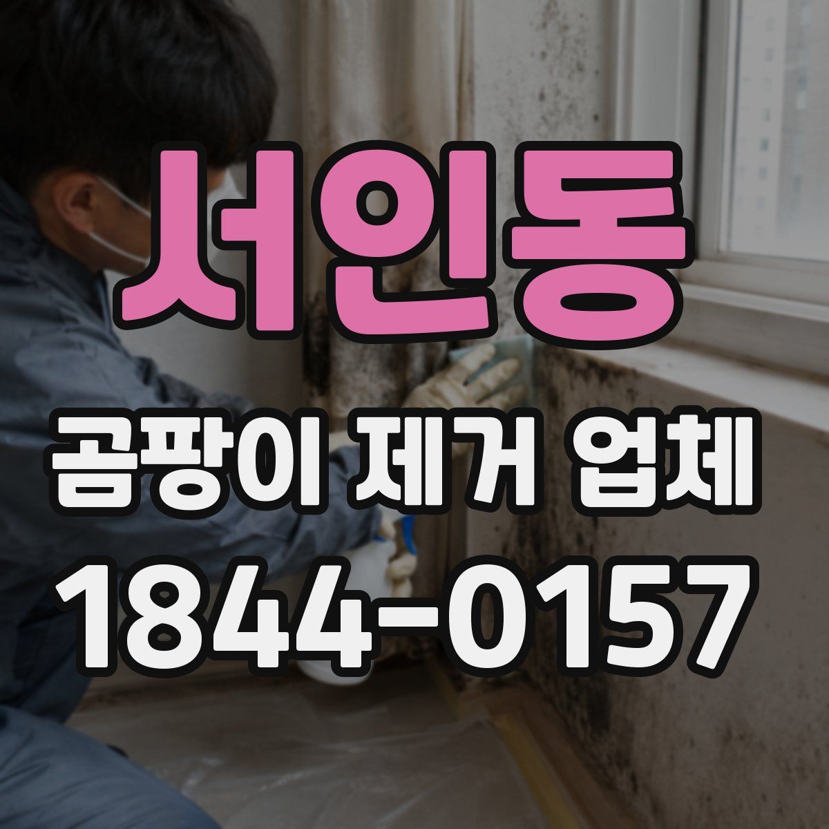 서인동 곰팡이 제거 업체