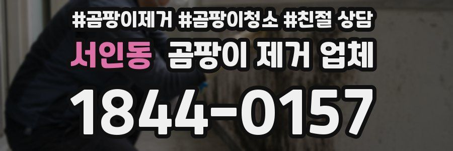 서인동 곰팡이 제거 업체