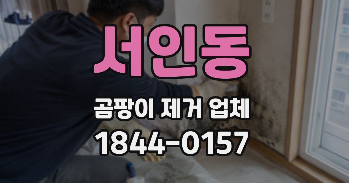 서인동 곰팡이 제거 업체