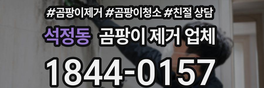 석정동 곰팡이 제거 업체