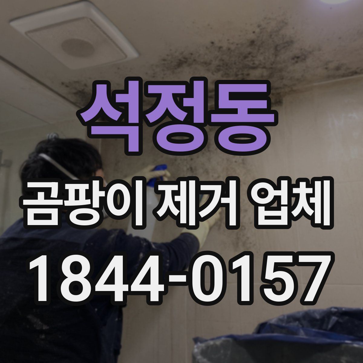 석정동 곰팡이 제거 업체