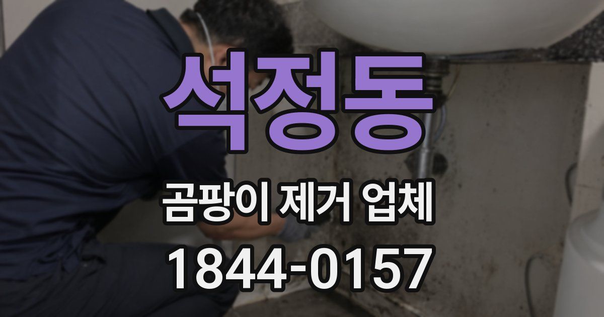 석정동 곰팡이 제거 업체