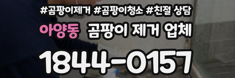 아양동 곰팡이 제거 업체