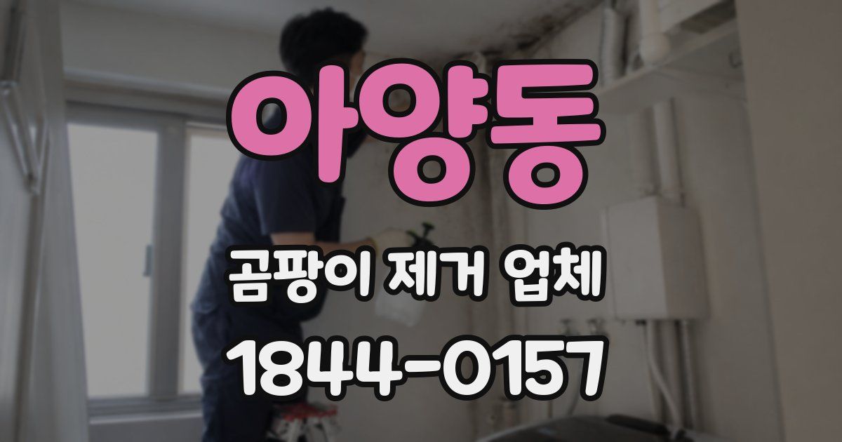 아양동 곰팡이 제거 업체