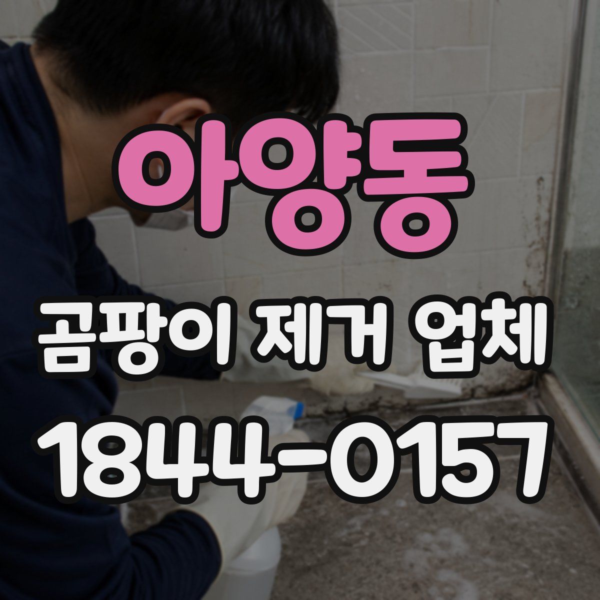 아양동 곰팡이 제거 업체