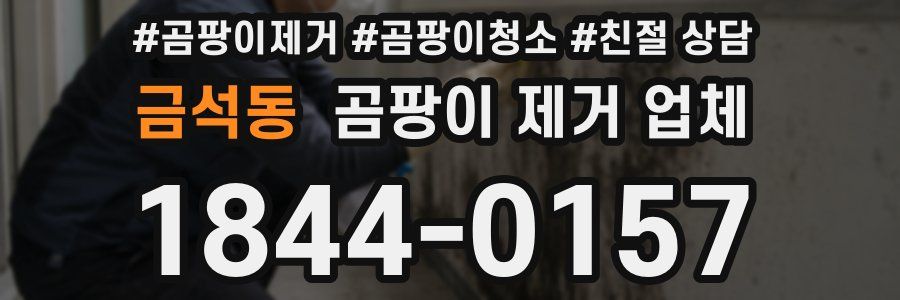 금석동 곰팡이 제거 업체