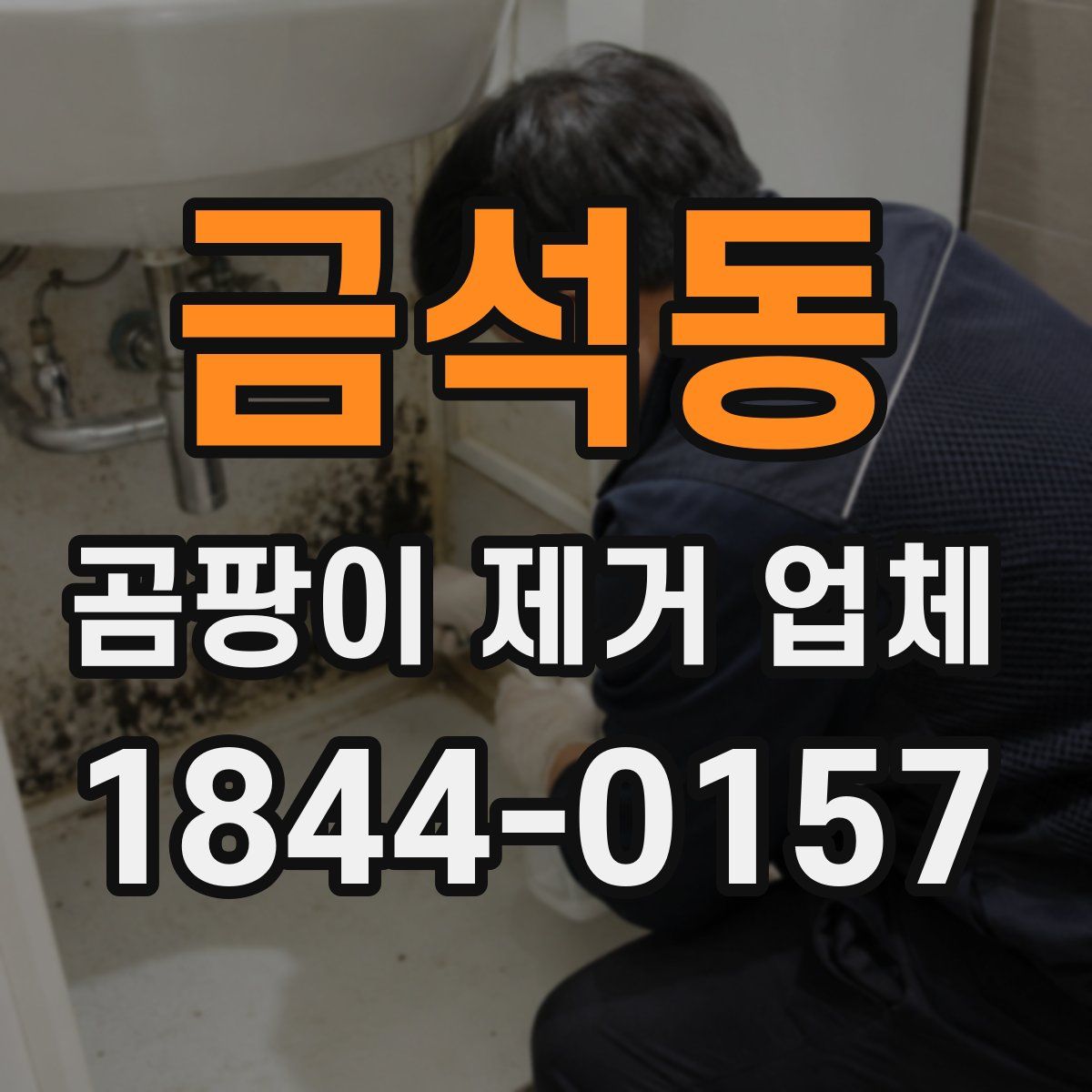 금석동 곰팡이 제거 업체