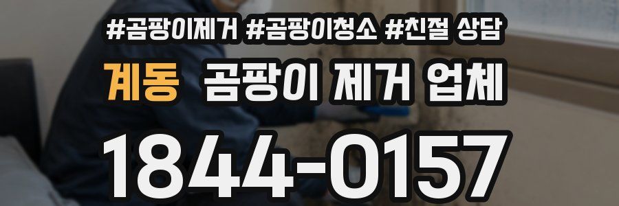 계동 곰팡이 제거 업체
