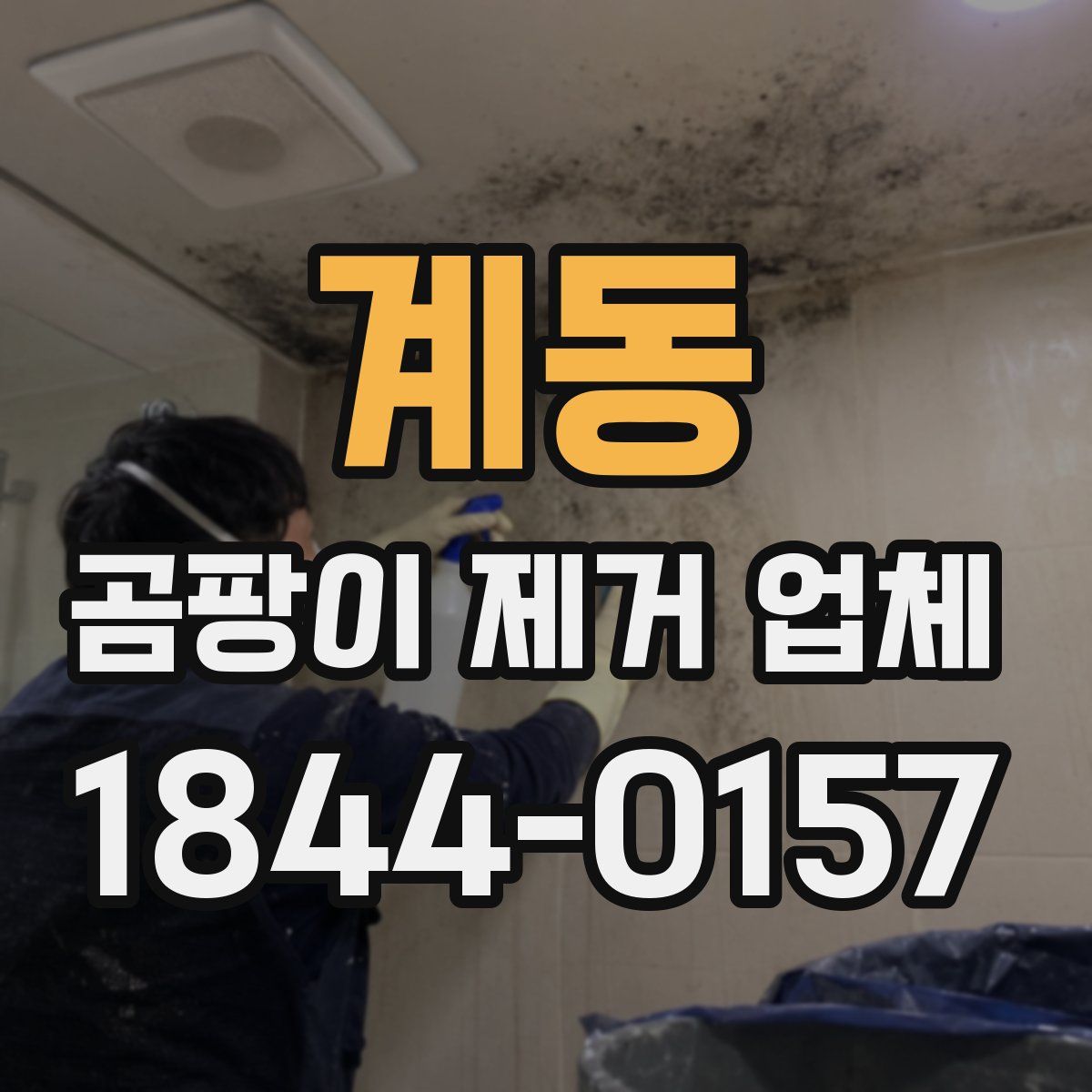 계동 곰팡이 제거 업체