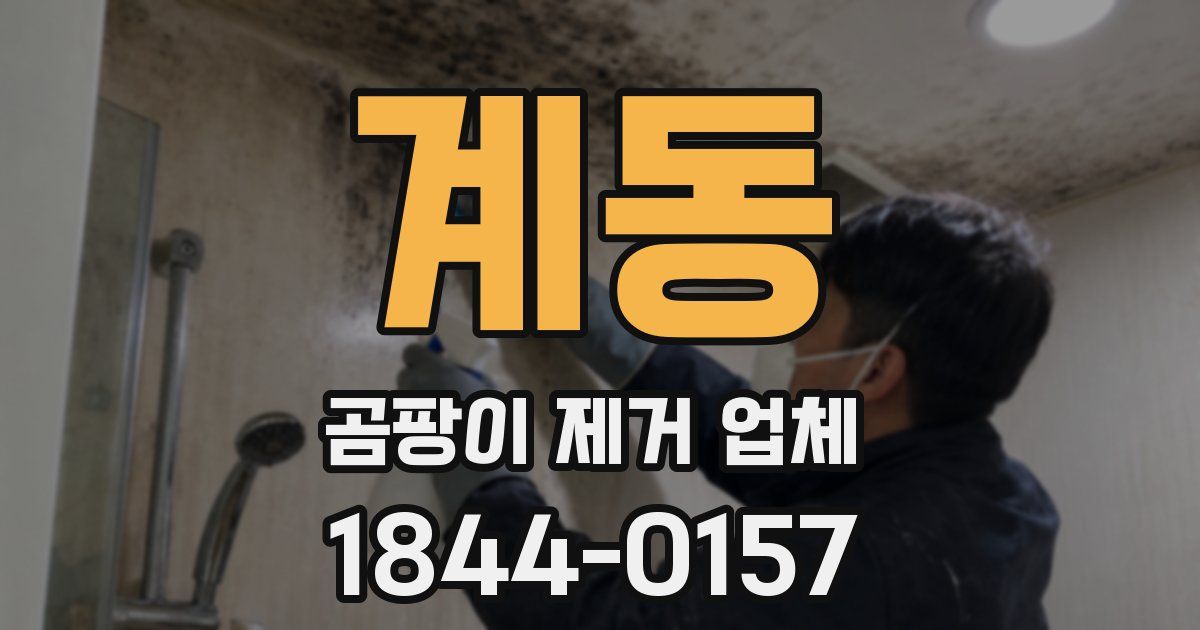 계동 곰팡이 제거 업체
