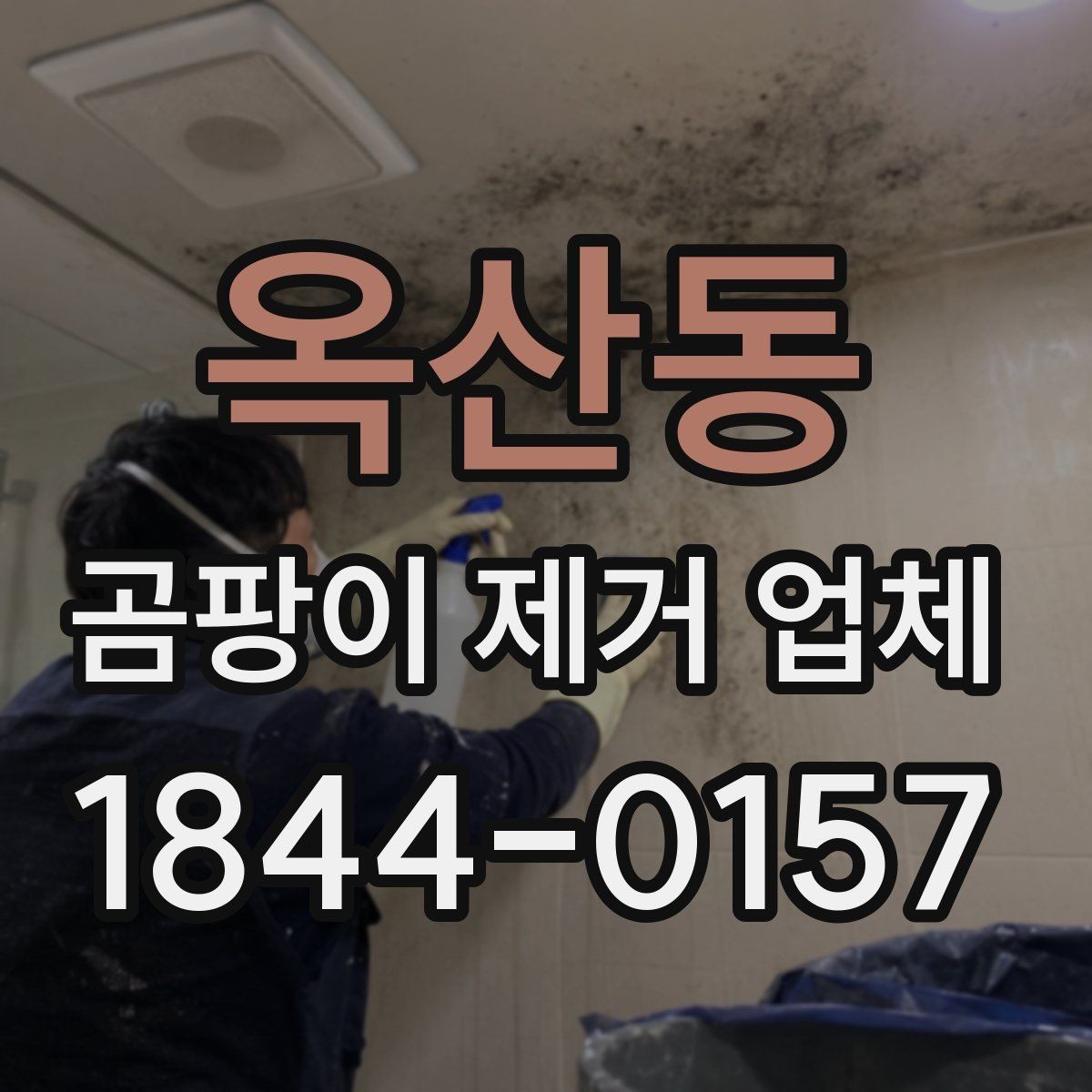 옥산동 곰팡이 제거 업체 이용 전 확인하면 좋은 계약 내용