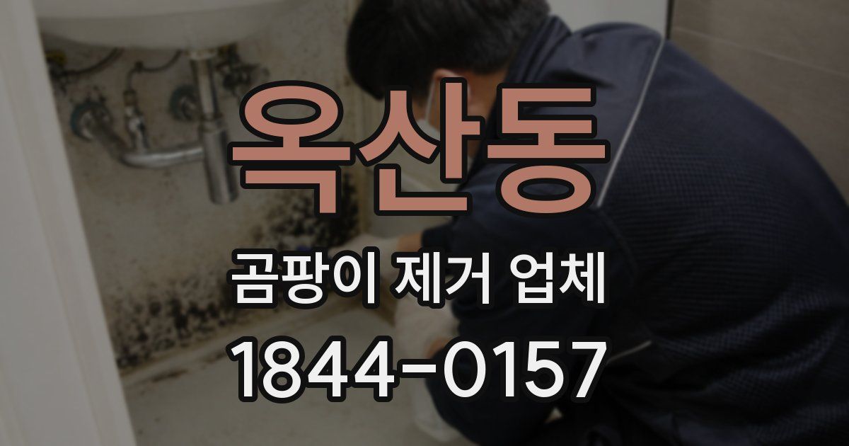 옥산동 곰팡이 제거 업체