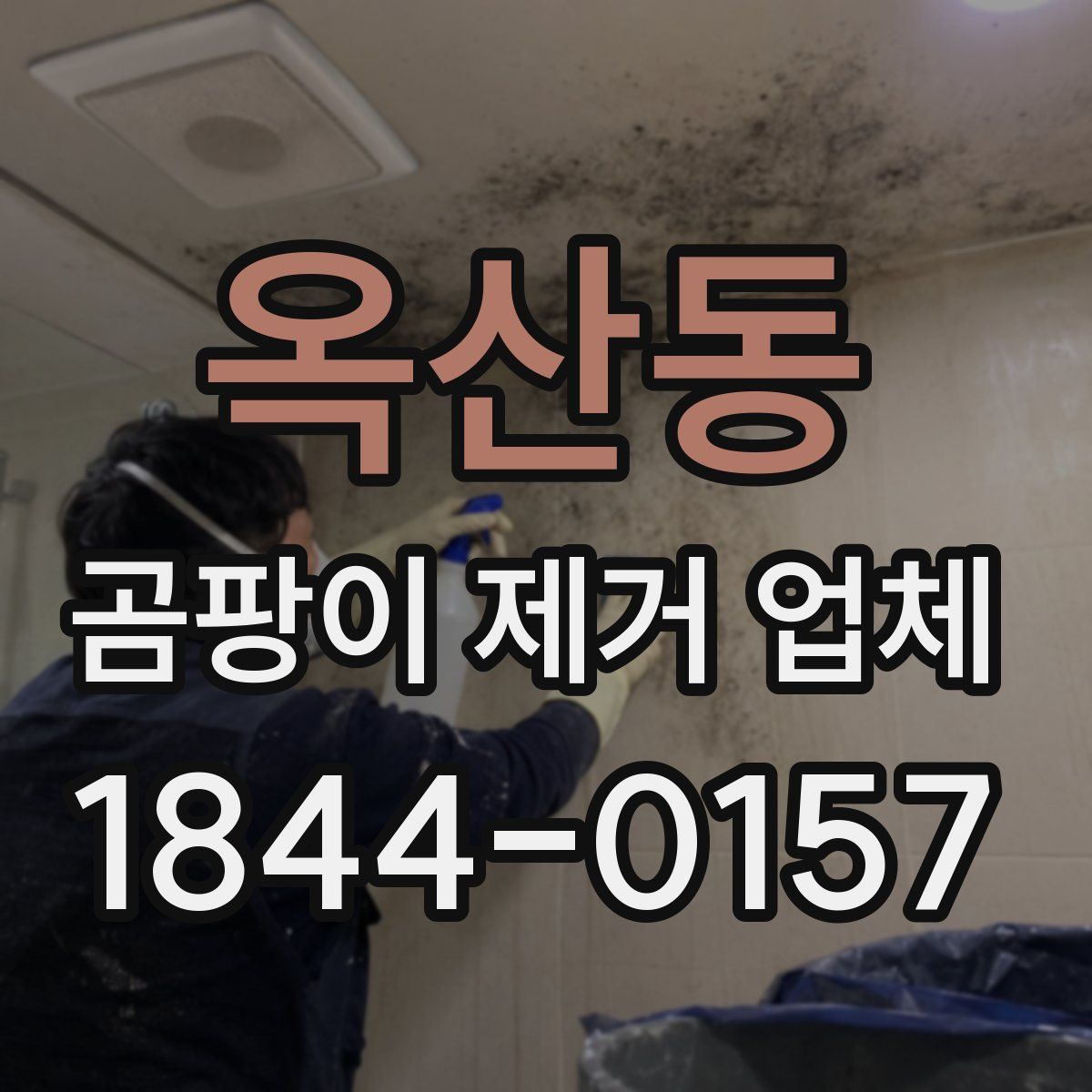옥산동 곰팡이 제거 업체