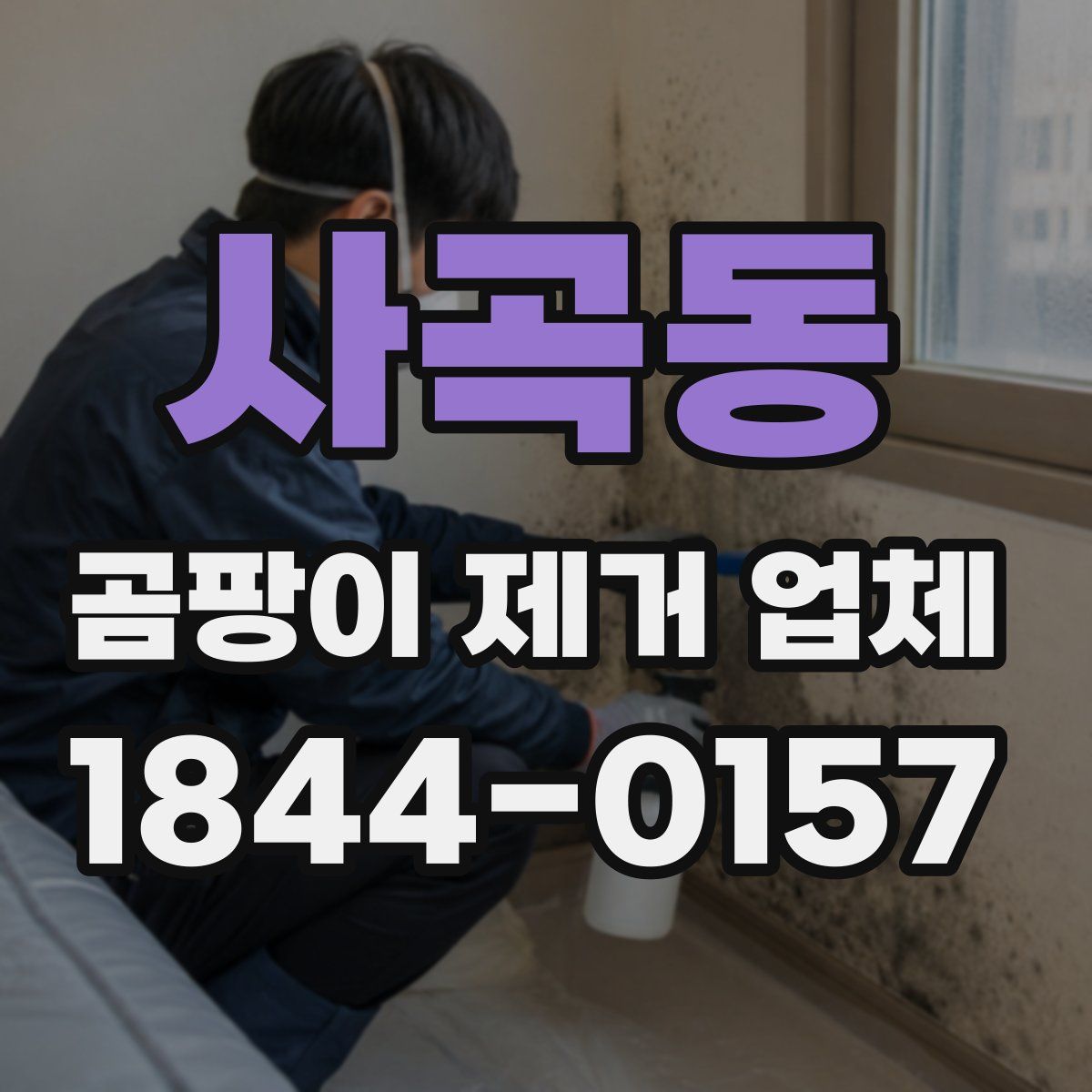 사곡동 곰팡이 제거 업체