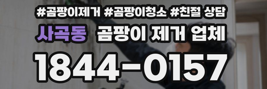 사곡동 곰팡이 제거 업체