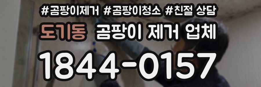 도기동 곰팡이 제거 업체