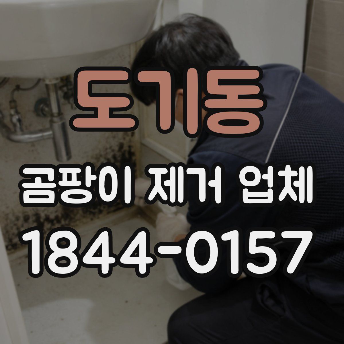 도기동 곰팡이 제거 업체