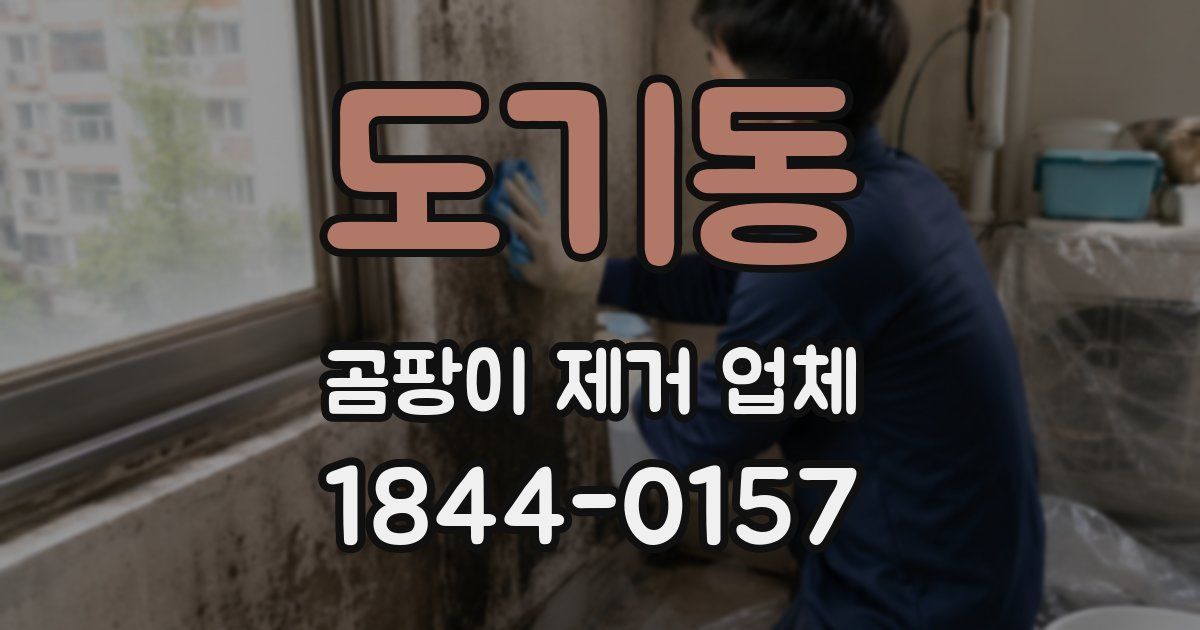 도기동 곰팡이 제거 업체