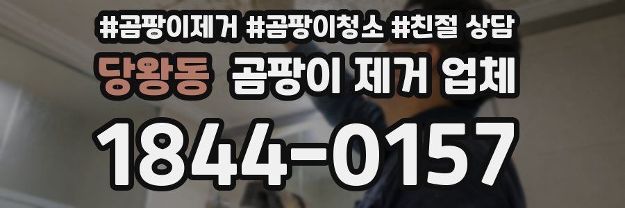 당왕동 곰팡이 제거 업체