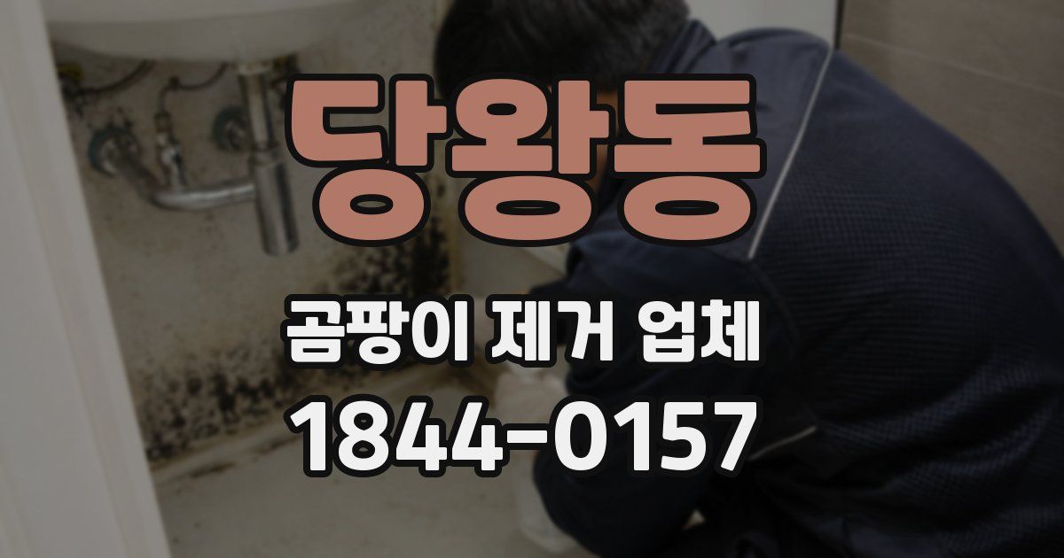 당왕동 곰팡이 제거 업체