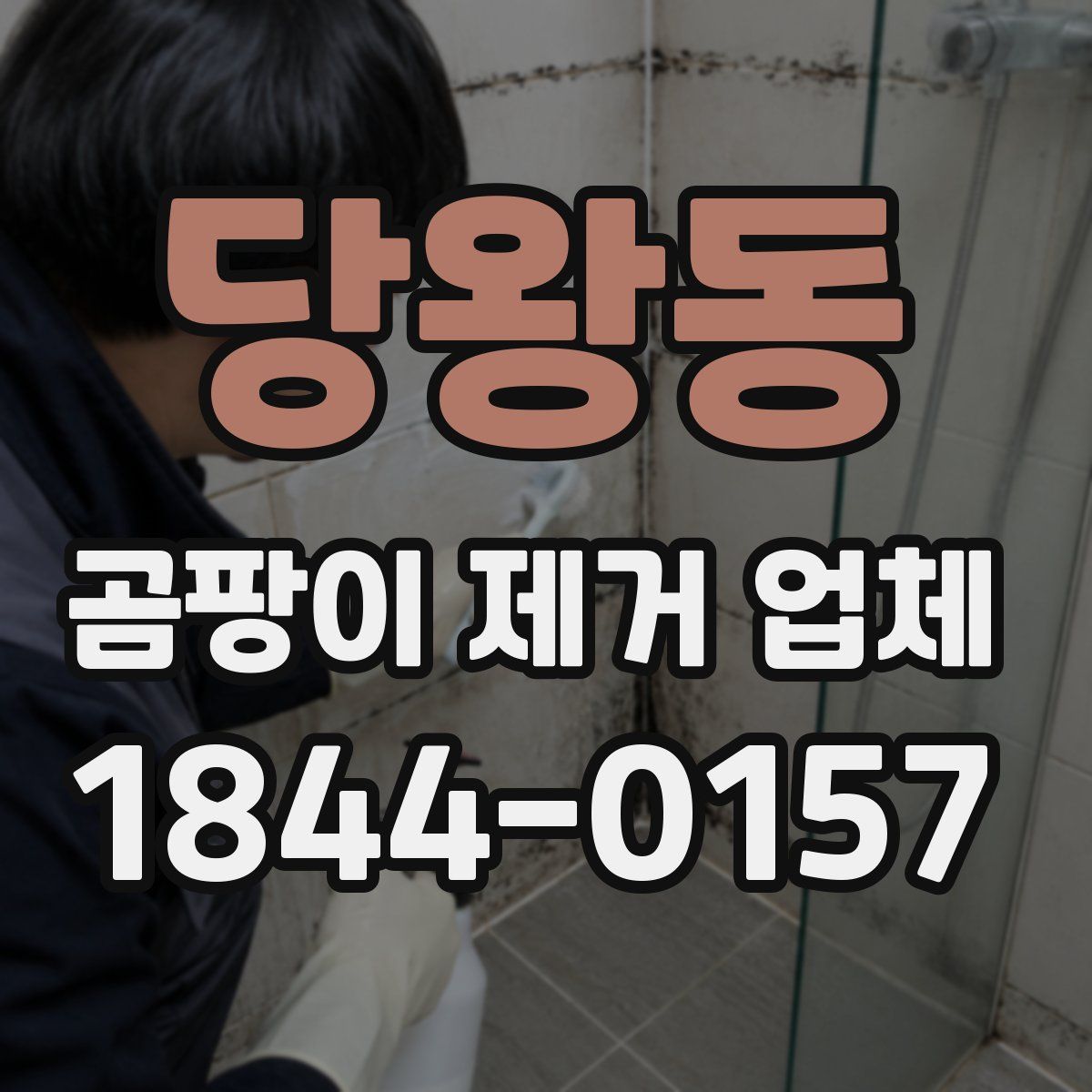 당왕동 곰팡이 제거 업체