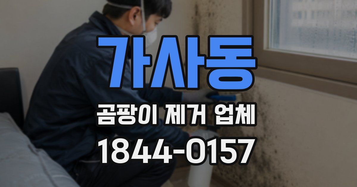 가사동 곰팡이 제거 업체