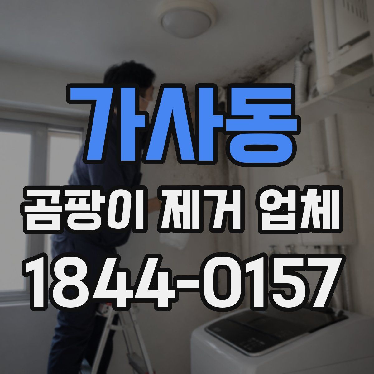 가사동 곰팡이 제거 업체