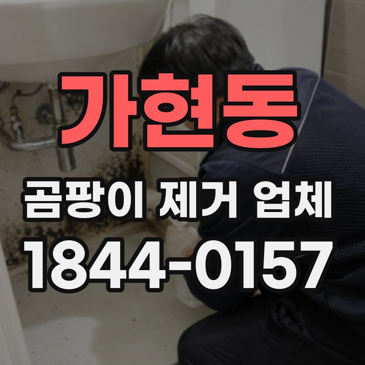 가현동 곰팡이 제거 업체