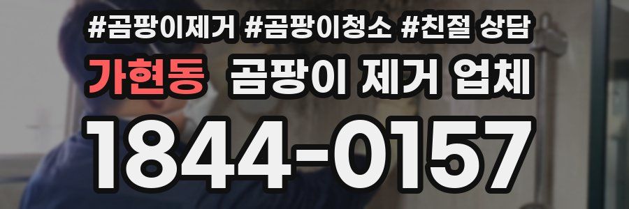 가현동 곰팡이 제거 업체
