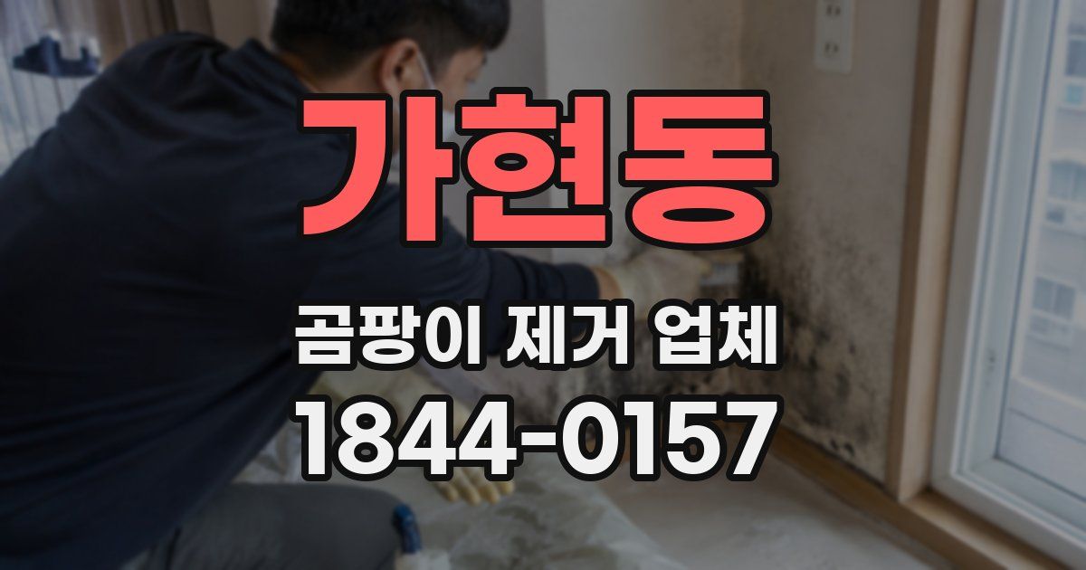 가현동 곰팡이 제거 업체